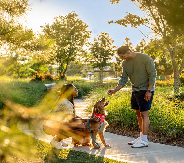 Man Giving A Dog A Treat On The Trail