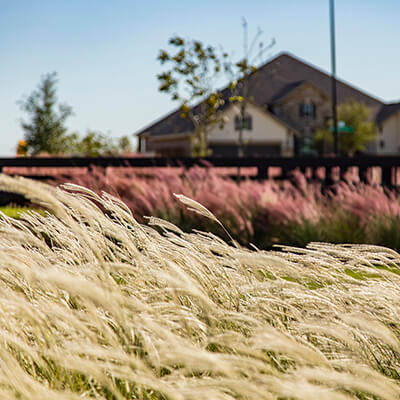 Exploring the Outdoors at Elyson in Katy, TX