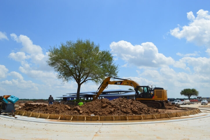 Transplanting trees in Elyson