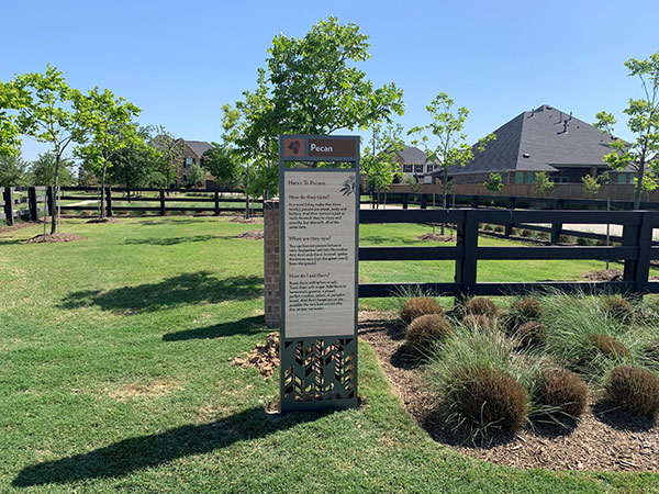 Pecan orchard in Elyson, new homes in Katy, TX.