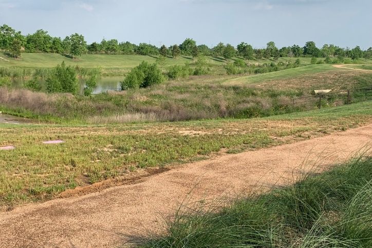  Elyson Commons Wildflower Trail