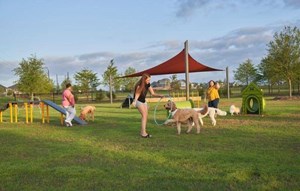 People training their dogs at Pooch Park Elyson Katy, TX