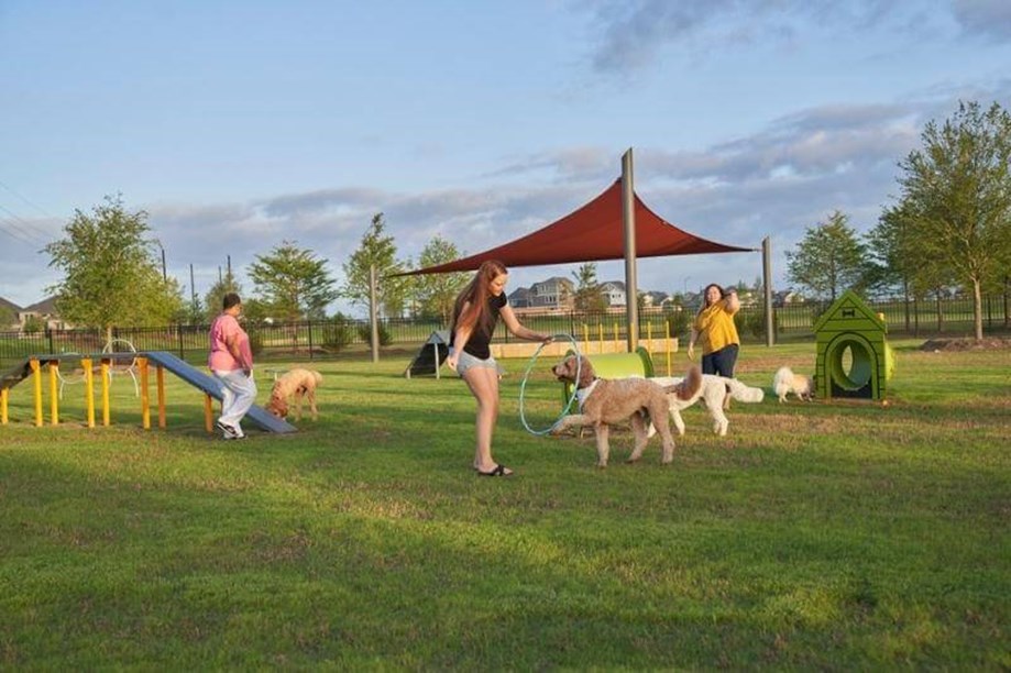 Summer at the community dog park at Elyson in Katy, TX.