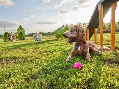 Pooch Playground Dog Park in Elyson Community Katy, Texas